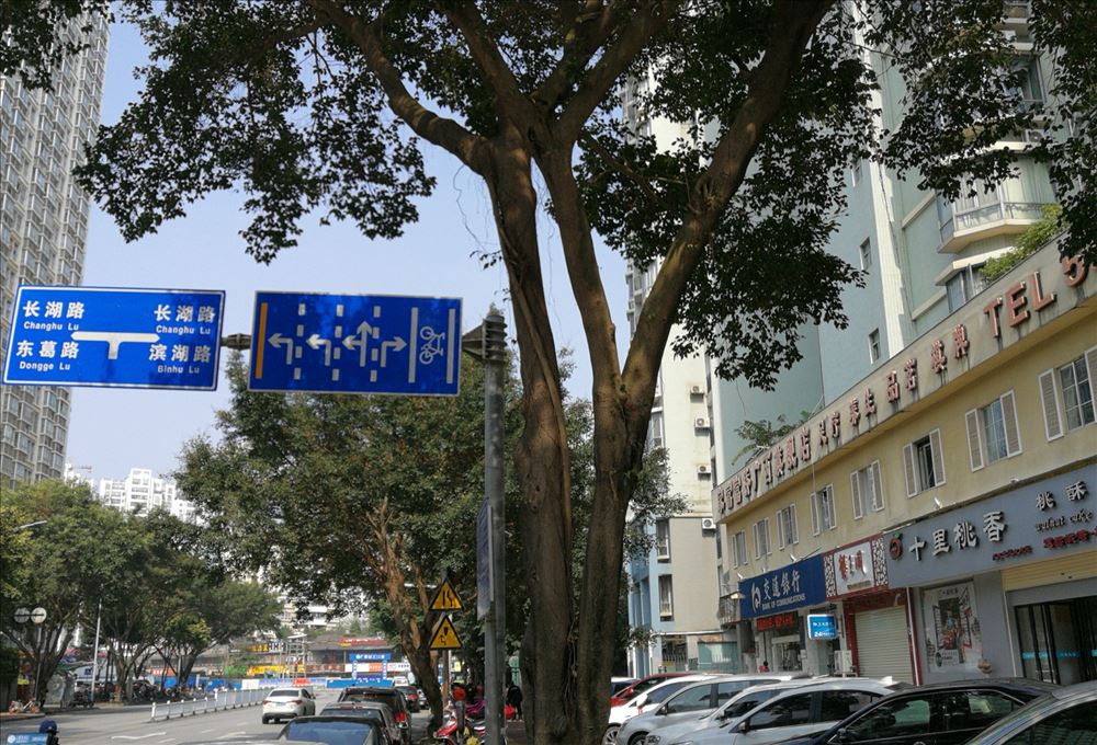 南湖碧园临街商铺